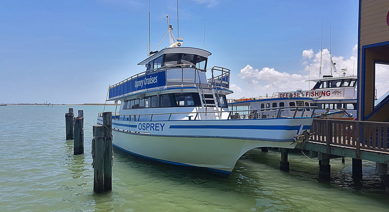 Come Sail Away With Me On Osprey Cruises - Sea Life Eco-Tour / Dolphin Watch Cruise