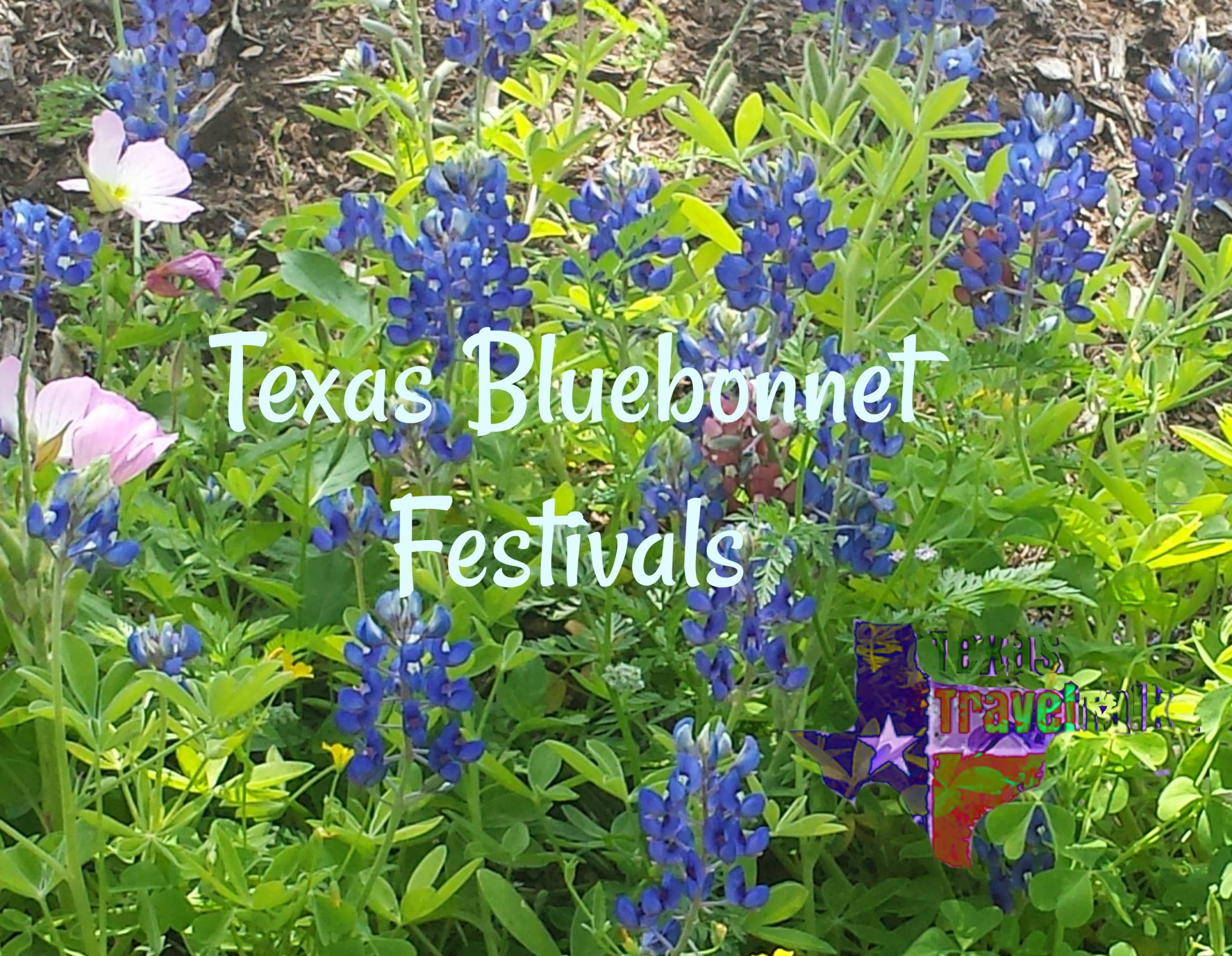 TX Festivals — Texas Travel Talk