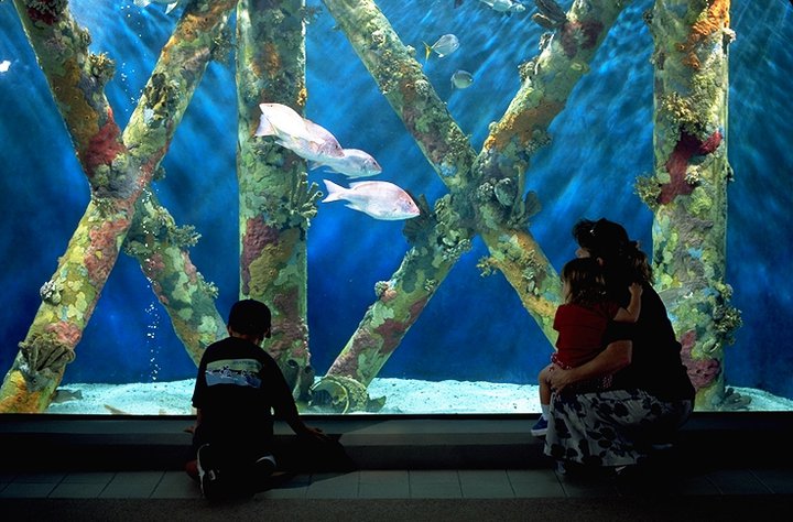 Family at Texas Sea Center Aquarium -