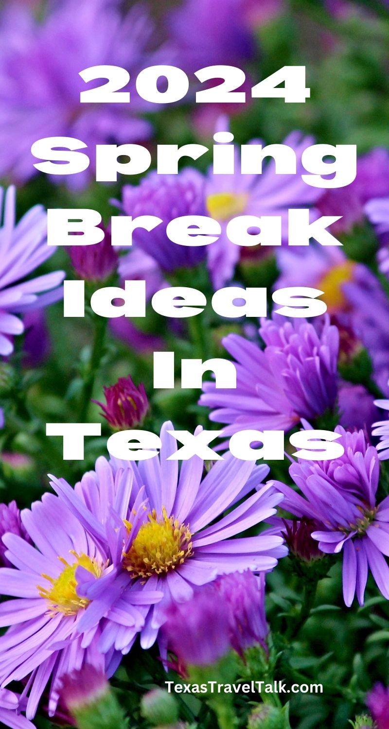 spring break ideas in texas