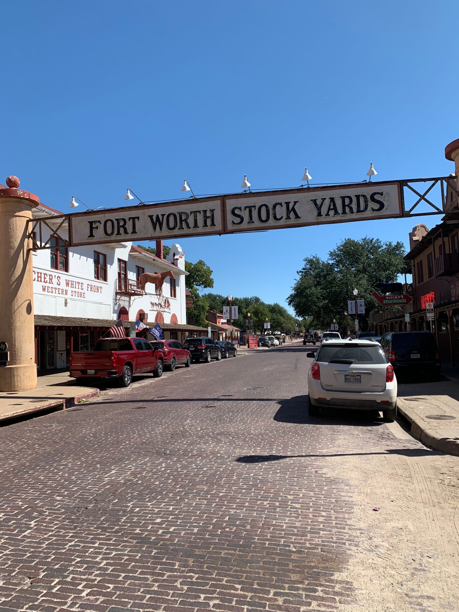 12+ Texas Rodeos in 20242025 Texas Travel Talk