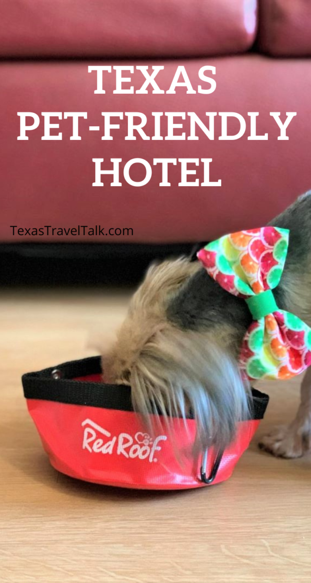 10 Texas PetFriendly Hotels (+ Cute Photos) Texas Travel Talk