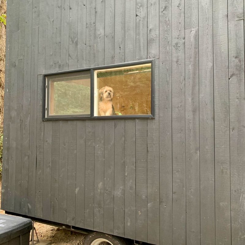Tiny cabin rentals in texas