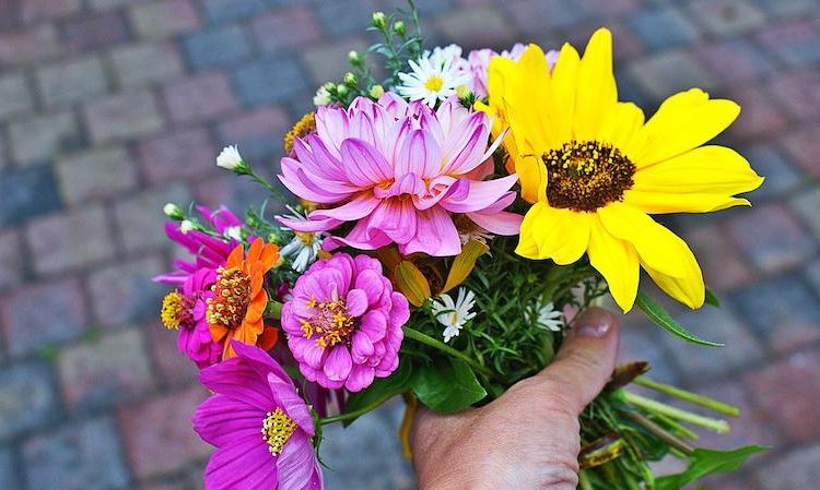 Fun Things To Do In Texas In May