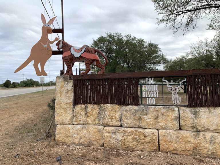 Road Trip Top 15 Zoos In Texas Texas Travel Talk
