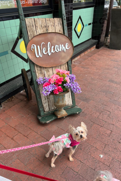 Pet Friendly Plano Texas