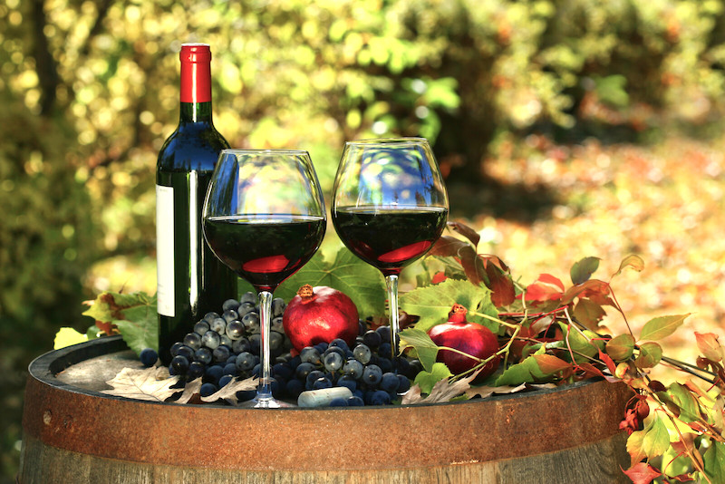 Texas Wine Festivals And Events