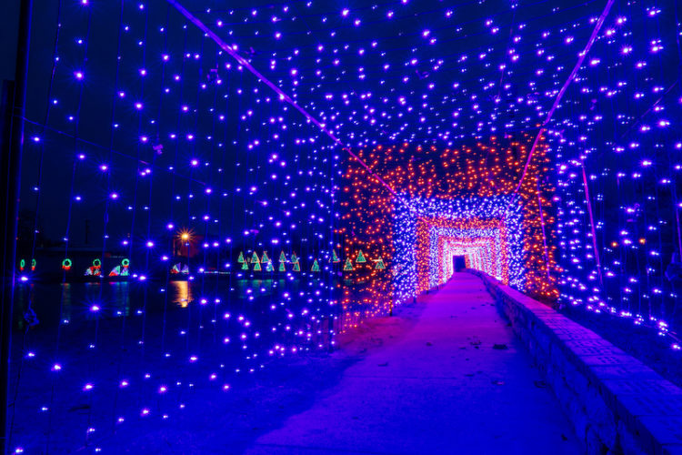 12+ Holiday Events In Central Texas (THC) Texas Travel Talk