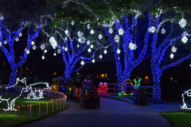 12 Most Charming Christmas Towns In Texas (2023)