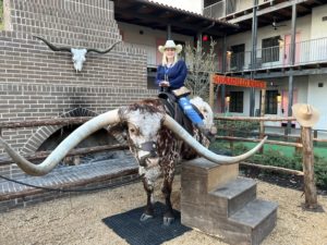 longhorn at Texican Court
