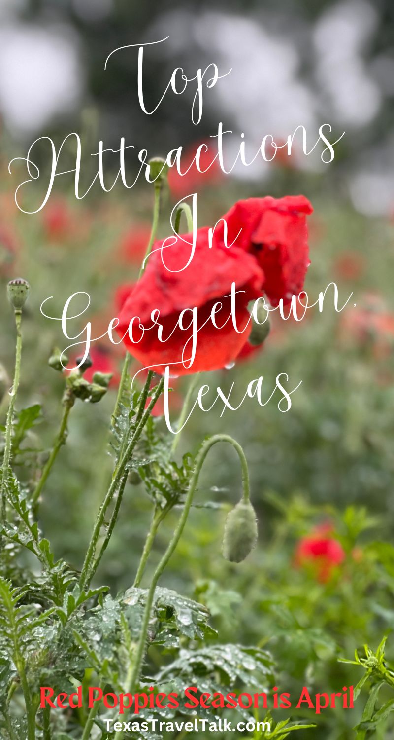 places to visit in georgetown texas