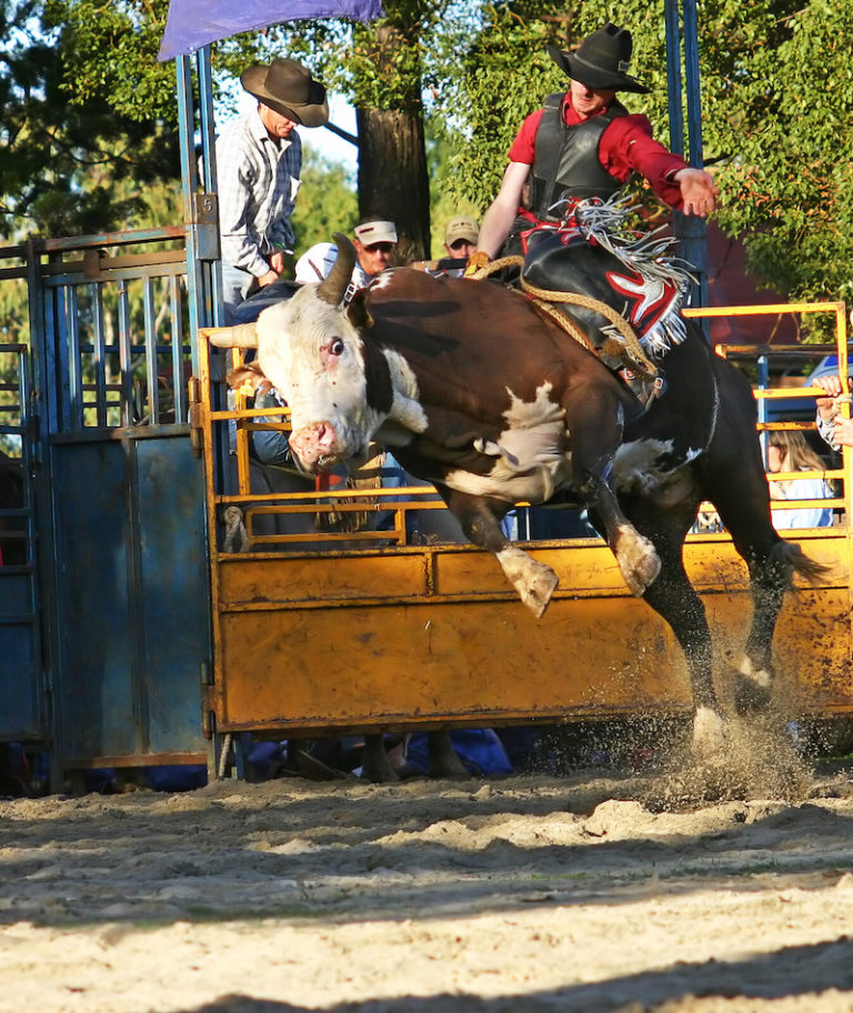 12+ Texas Rodeos in 20242025 Texas Travel Talk