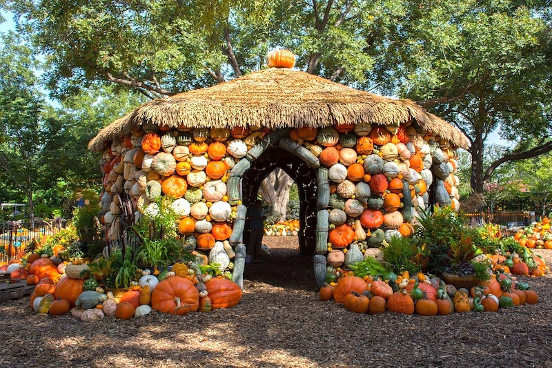 Top Things To Do In Dallas In One Day - Dallas Arboretum in Fall