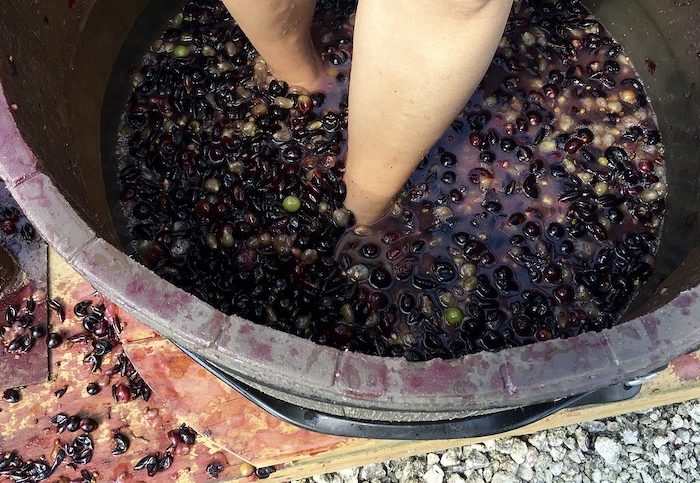 Texas Hill Country Grape Stomp Events