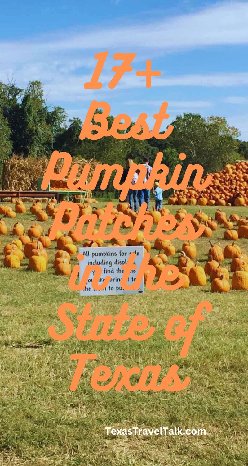 Best Texas Pumpkin Patches & Pumpkin-Picking Farms