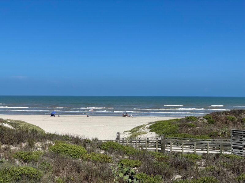 Top Things To Do In Corpus Christi For All. Padre Island national seashore