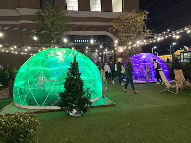 Grapevine hotel vin winter igloos Texas Travel Talk grapevine-hotel-vin-winter-igloos-texas-travel-talk