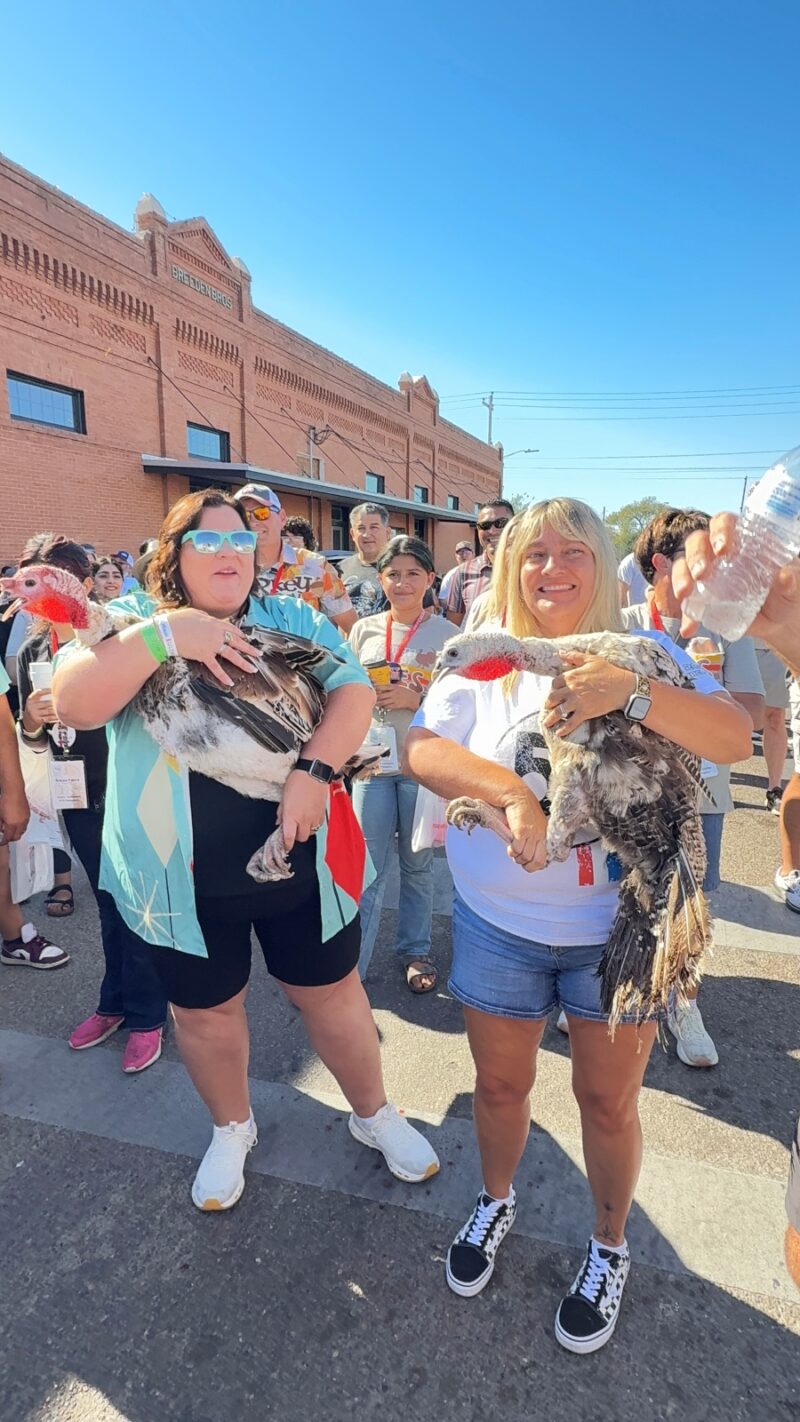 Things to do in Cuero, TX