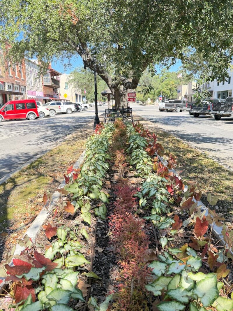 Most Charming Downtowns in Texas