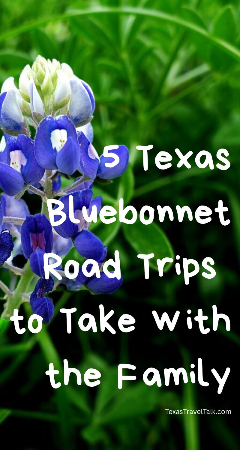 5 Texas Bluebonnet Road Trips