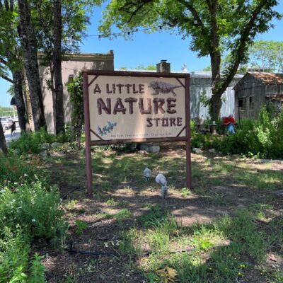 Best Things To Do in Boerne for Families