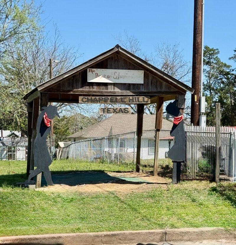 5 Texas Bluebonnet Road Trips