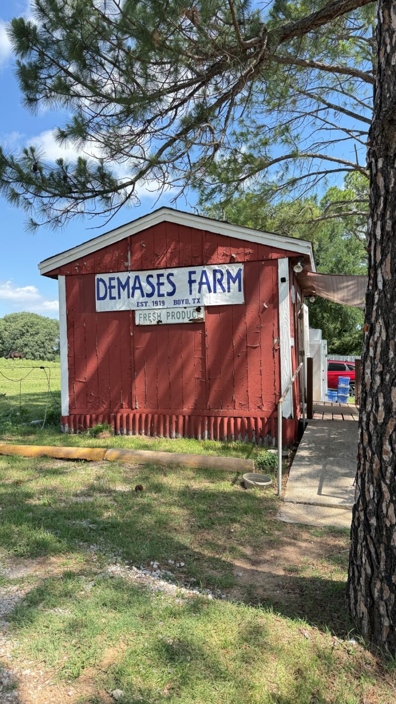 Things To Do in Boyd, TX, on a Day Trip