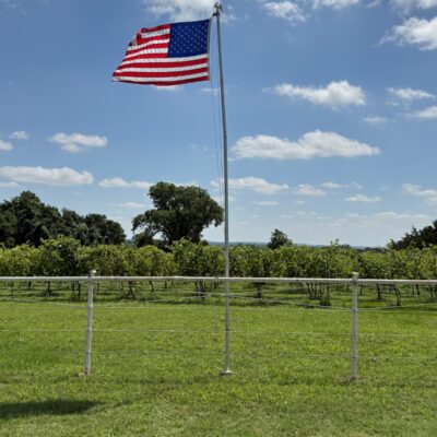 Things To Do in Boyd, TX, on a Day Trip