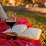 a book, wine, red blanket, ruby hotel