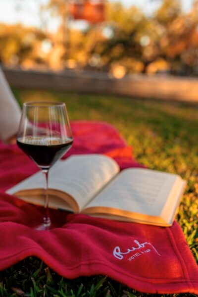 a book, wine, red blanket, ruby hotel